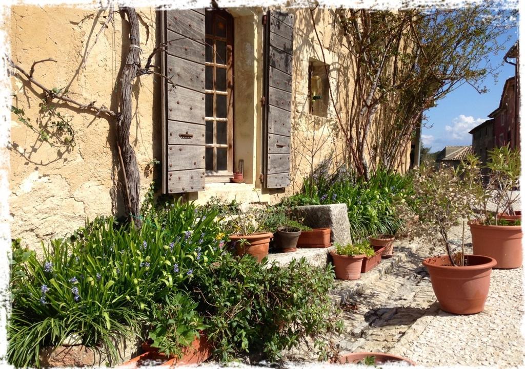 Le Petit Cafe Bed and Breakfast Oppède Exterior foto